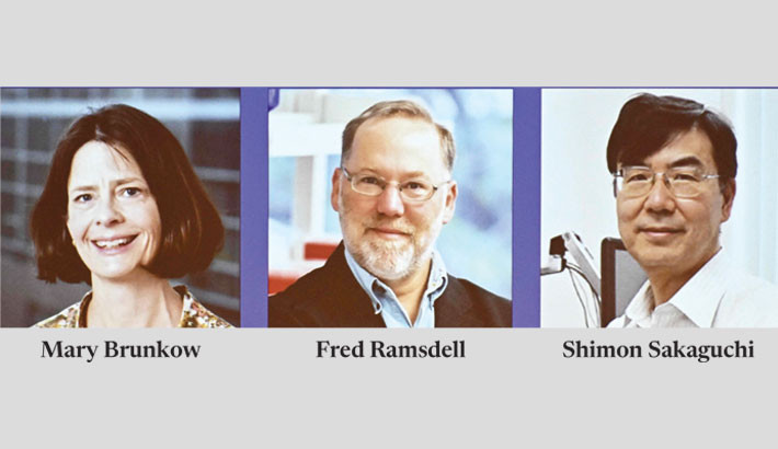 US-Japanese trio win medicine Nobel for immune system research