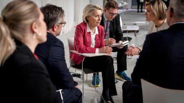 EU parliament divisions laid bare by von der Leyen vote