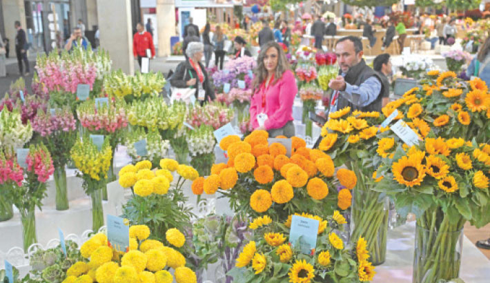 People walk amid flowers as they attend the international Proflora fair in Bogota, Colombia, on 2 October. PHOTO: AFP