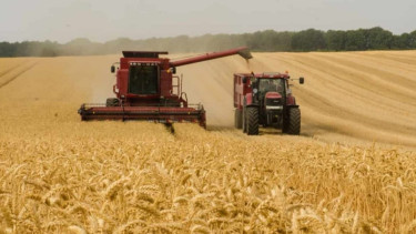 Govt approves import of 50,000 mts rice from India, wheat from US
