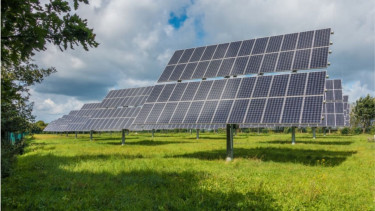 Renewables overtake coal but growth slows: Reports