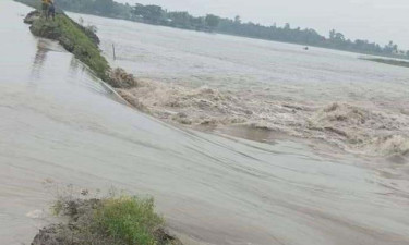 Tidal waters inundate low-lying areas as embankment collapses in Khulna
