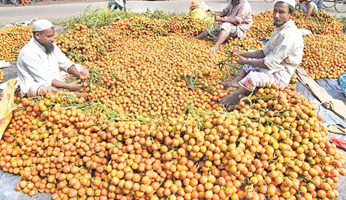 Farmers wait for buyers at the Rumkhan Monir Haat, one of the busiest and most traditional trading hubs for betel nuts in Ukhiya upazila of Cox’s Bazar. After meeting local demand, the betel nuts produced here are distributed to various regions across the country, including Rangpur, Rajshahi, Chattogram, and Dhaka. The photo was taken on Thursday. - HANIF AZAD