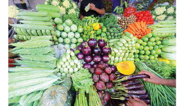 Early winter veggie glut fails to tame prices