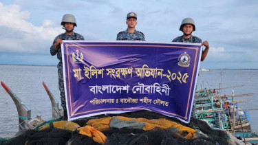 Navy seized trawlers, fishing nets, fish worth Tk19cr