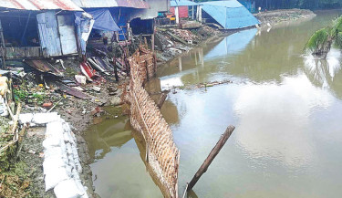 Tidal onslaught triggers severe erosion in Lakshmipur
