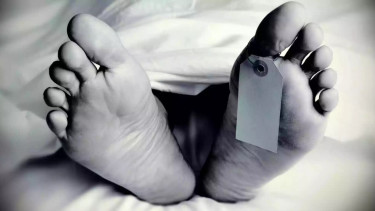 Woman killed ‘by husband’ in Jhenaidah