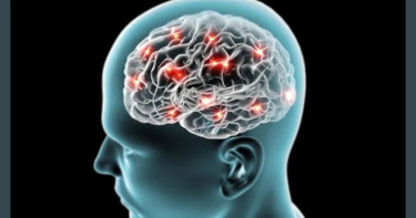 How Exercise Can Help Boost Our Brain Cells