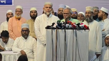 Rizvi sees ‘master plan’ behind Jamaat’s Nov referendum call