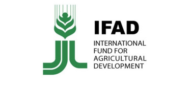 IFAD workshop stresses farmer-led action to curb methane emissions in agriculture