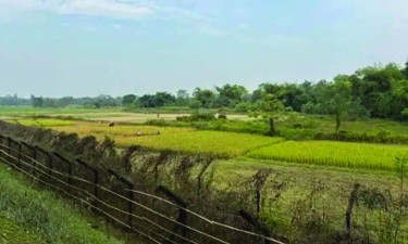 Three Bangladeshi nationals beaten to death in Tripura