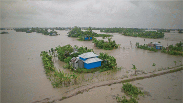 Climate adaptation could unlock millions of jobs, economic growth in Bangladesh: Report
