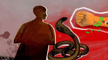 Child dies from snakebite in Habiganj