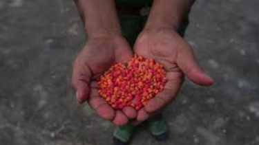 15,000 Yaba pills seized in Keraniganj; two drug peddlers arrested