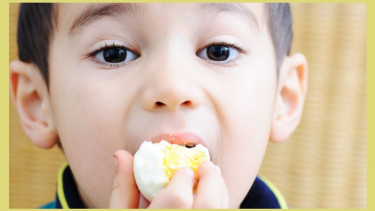 The Importance of Eggs for Children