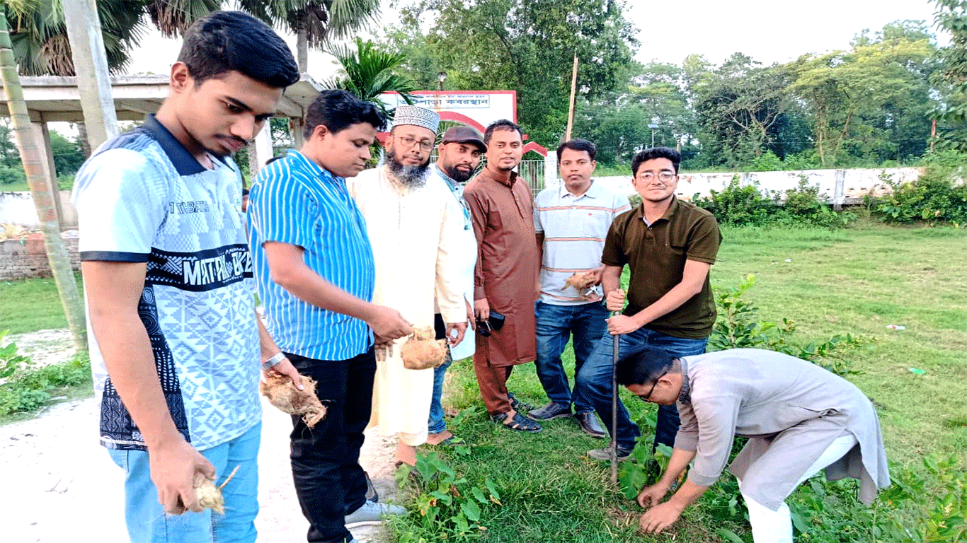 Palm seeds planted in Cumilla to prevent lightning, protect environment