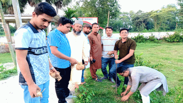 Palm seeds planted in Cumilla to prevent lightning, protect environment