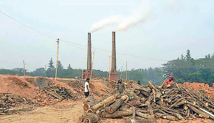 Unchecked brick kilns flourish in Lakshmipur