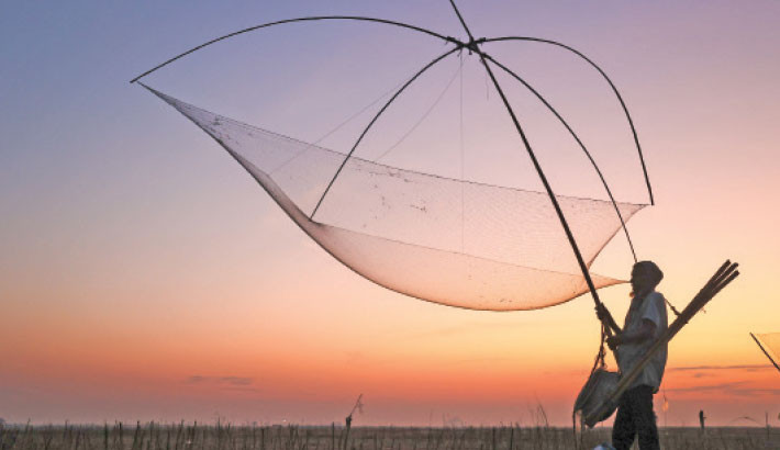 A fisherman in Pabna prepares his traditional net at dawn, ready to cast it into the calm waters of the beel. The soft hues of the morning sky provide a tranquil backdrop to this timeless rural ritual. The photo was taken on Tuesday. SM MOSTAFIJUR RAHMAN