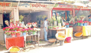 Khulna’s flower industry blossoms with opportunity