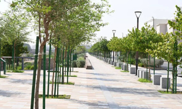 2.1 million trees to be planted in Madinah as part of green initiative