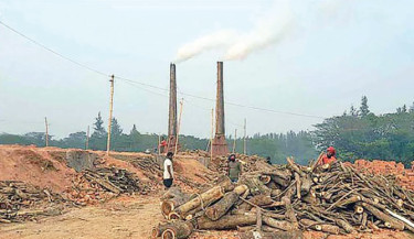 Unchecked brick kilns flourish in Lakshmipur