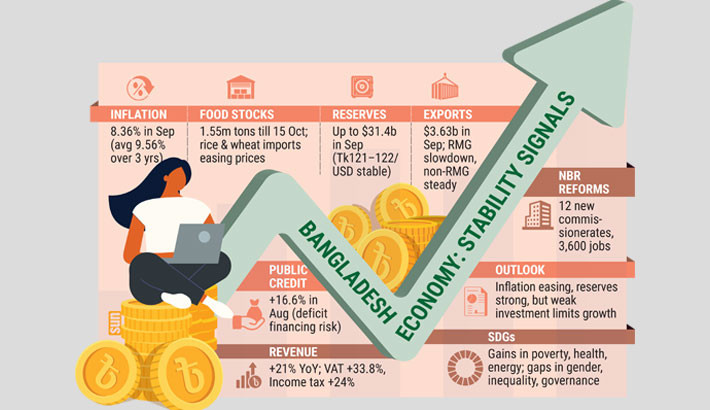 Economy steadies, but private sector remains sluggish: Report
