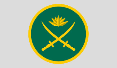 Blame offenders, not Army