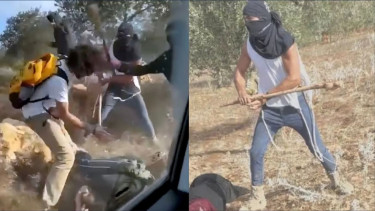 Israeli settlers beat Palestinian farmers on video as attacks mount during West Bank olive harvest
