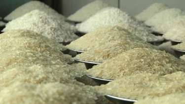 Govt to import 1 lakh tonnes of rice from UAE, Myanmar