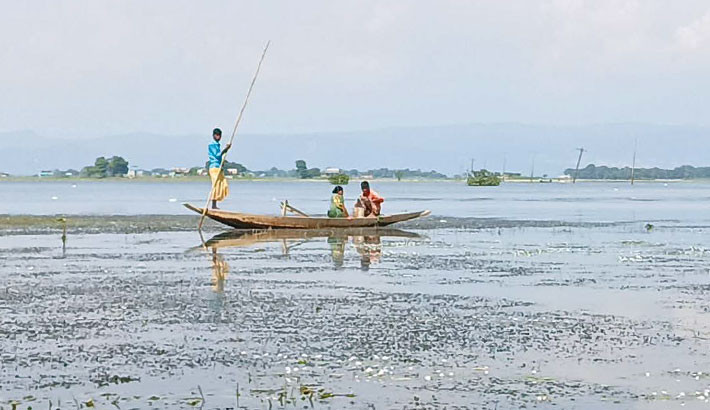 Fish scarcity deepens in Sunamganj as haor ecosystem declines