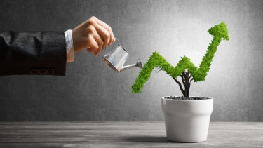 Investors pin hopes on election stability