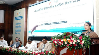 If dolphins survive, rivers, humans will too: Rizwana