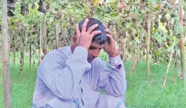 Intentional destruction of crops, fish goes on unabated