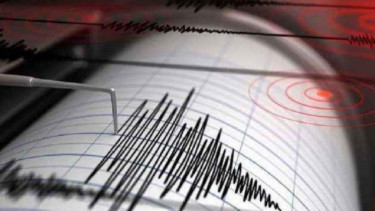 6.2-magnitude quake hits Timor region: GFZ