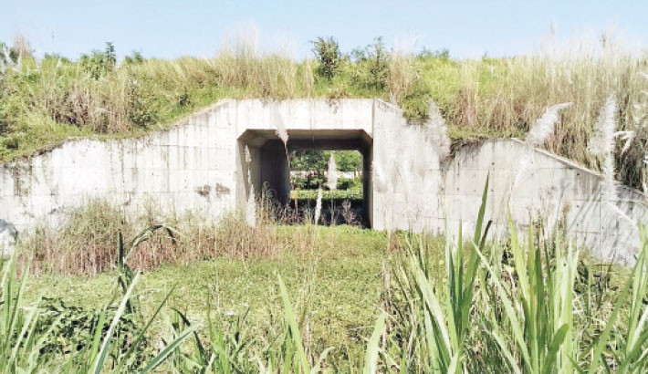 Farmland remain swamped as railway culvert block water flow in Madaripur