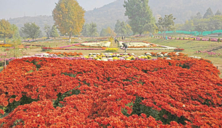 HSBC profit falls in third quarter, hit by legal woes