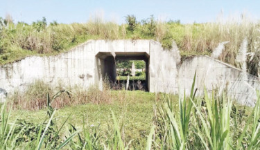 Farmland remain swamped as railway culvert block water flow in Madaripur