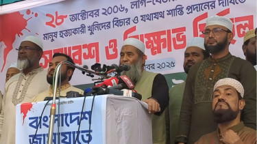 28 October massacre surpassed all past brutalities: Prof Mujibur Rahman