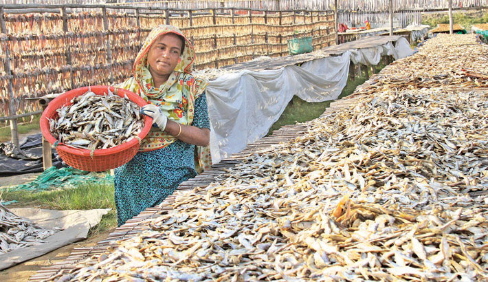 A woman lays out fish for sun-drying to make shutki, a popular local delicacy, on the banks of the River Karnaphuli in Chattogram’s Bastuhara slum. The dried fish processed here will be distributed to wholesale markets across the country. The photo was taken on Friday. 	-RABIN CHOWDHURY