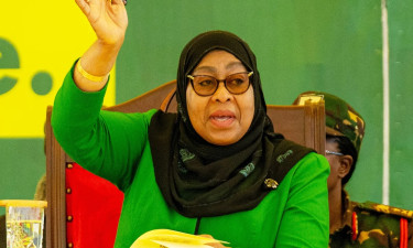 Tanzania preliminary results show landslide win for President Hassan