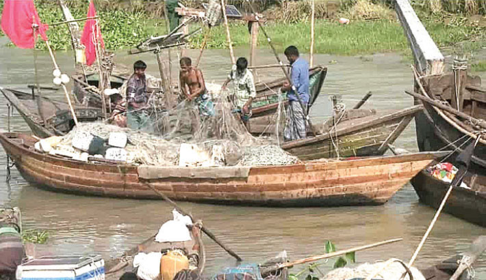 Low hilsa catch leaves fishermen frustrated after 22-day ban