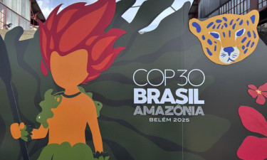 US not sending any high-level officials to COP30