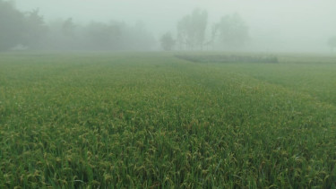 Bangladesh may face 10 cold waves this winter: Met Office