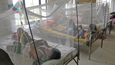 Dengue: Five dead, 1,147 hospitalised in 24hrs