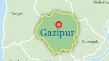 Horse meat seized in Gazipur; 37 sick horses recovered in raid