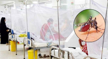 Dengue deaths cross 300 with 10 new fatalities