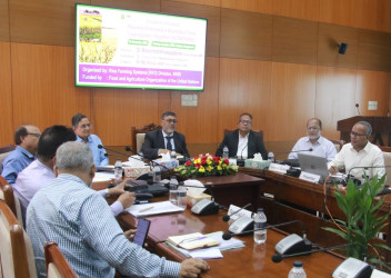 Workshop on enhancing cropping system held at BRRI