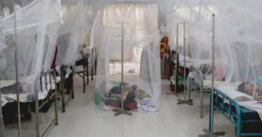 Dengue: Five more die, 1,034 hospitalised in 24hrs