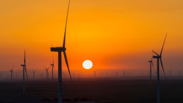 China’s low-carbon devlopment provides impetus for global climate action